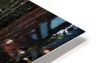 Forest Puddle HD Metal print