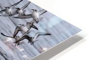 Moss Landing HD Metal print