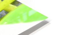 Frog HD Metal print