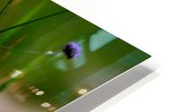 By the Pond HD Metal print