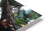 Giants HD Metal print