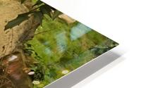 Old Graves HD Metal print