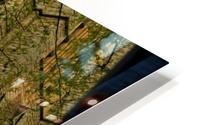Mossy Cathedral HD Metal print