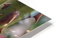 Metaphor HD Metal print