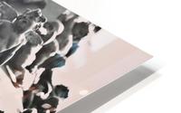Pan HD Metal print