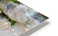 Mossy Stone HD Metal print
