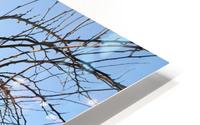 Villa Agape HD Metal print