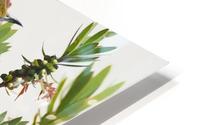 Goldfinch HD Metal print