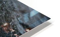 RainBubble HD Metal print