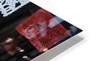 bDSC 5453 HD Metal print