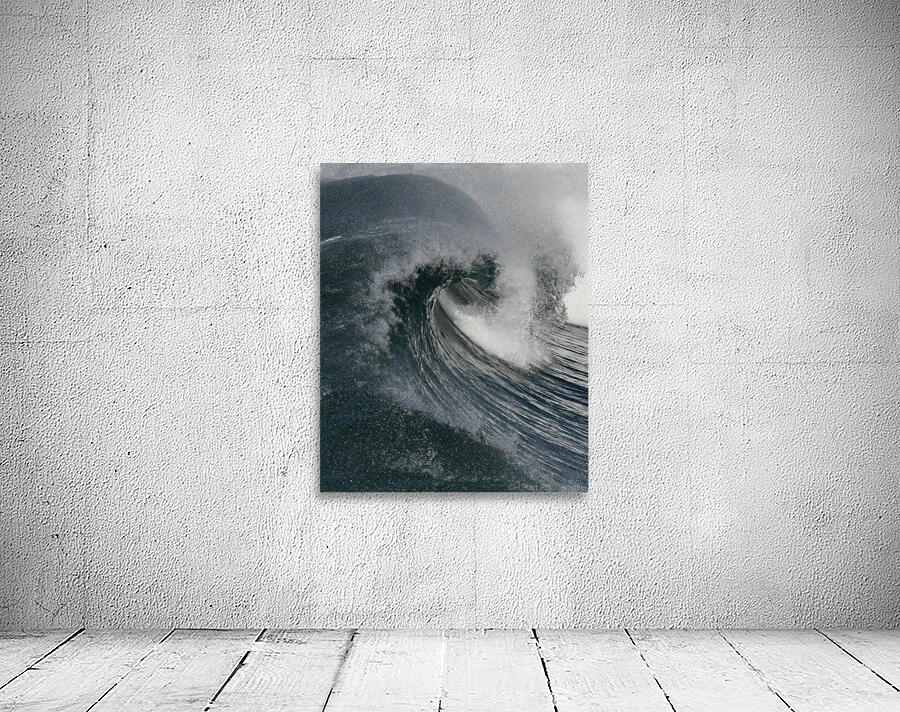Curl  Wall Preview