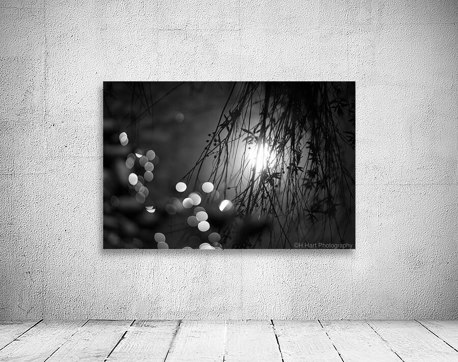 Sun Bokeh Wall Preview