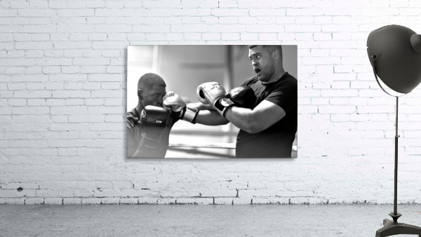 Punch Wall Preview