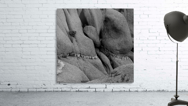 Stone Teeth Wall Preview