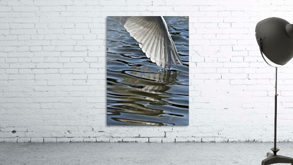 Angel Tip Wall Preview