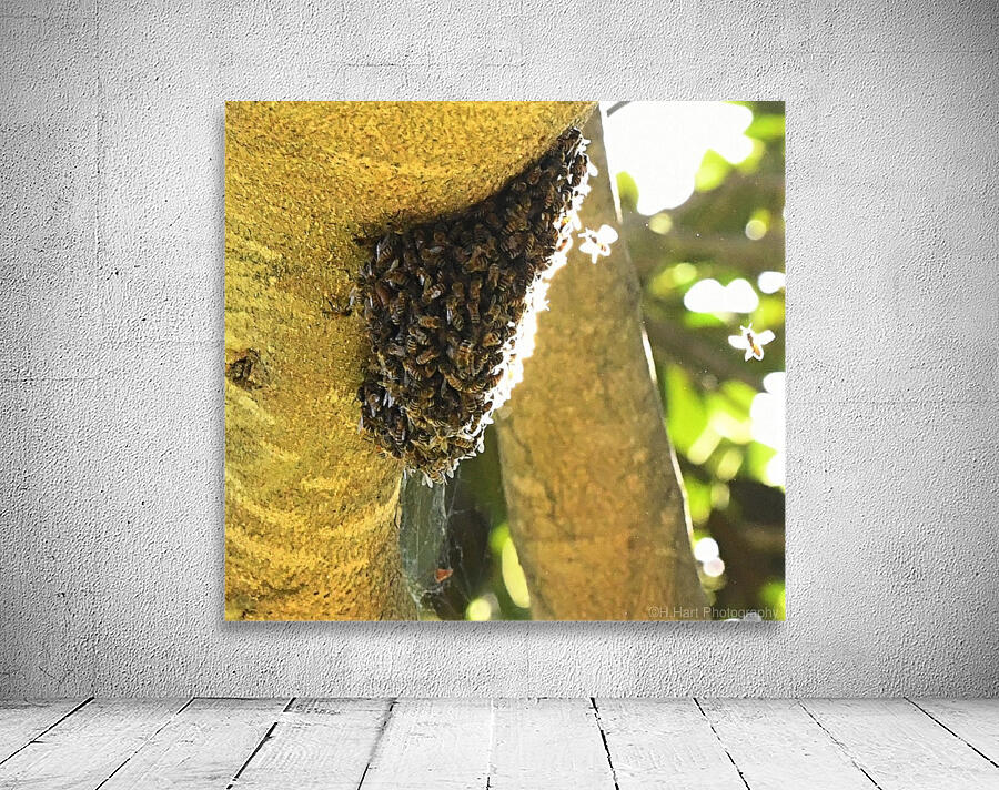 Bee Hive Wall Preview