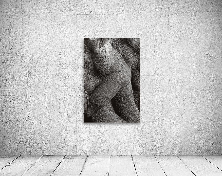 Emerging Bodies Wall Preview