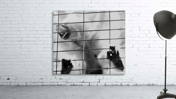 Caged Shriek Wall Preview