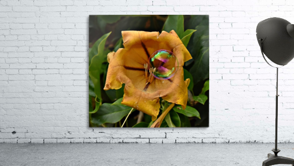 Bubble Flower Wall Preview