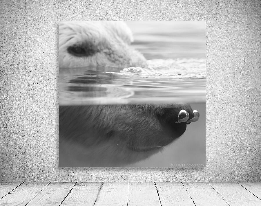 Bear Bubbles Wall Preview