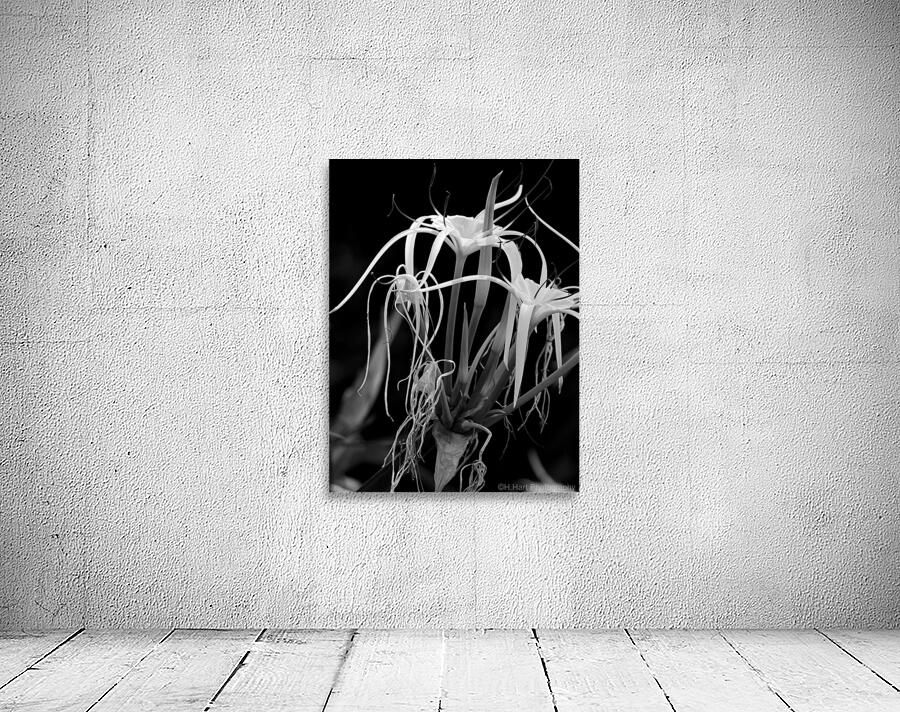 Dripping Flowers Wall Preview