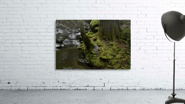 Soft Green World Wall Preview