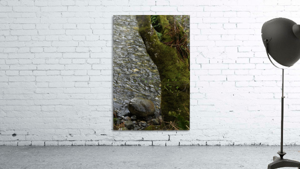 British Columbia Wall Preview