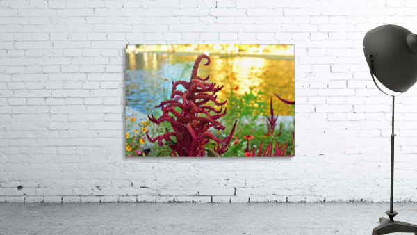 Balboa Park Wall Preview
