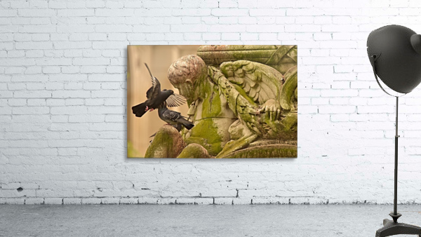 Bird and Moss Wall Preview