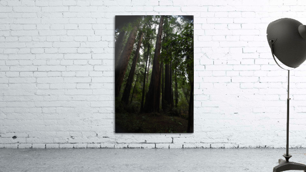 Strong Silent Types Wall Preview