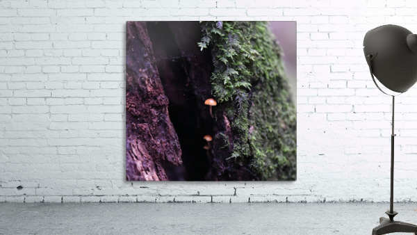 Forest Growth Wall Preview
