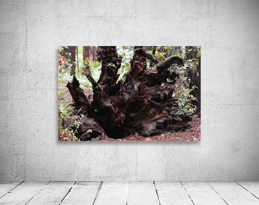 Uprooted Wall Preview