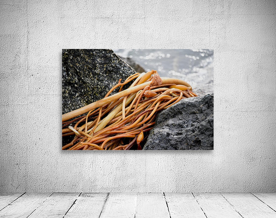Kelp Wall Preview