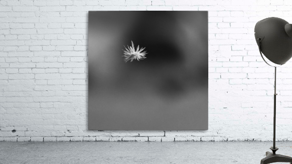 Falling Feather Wall Preview