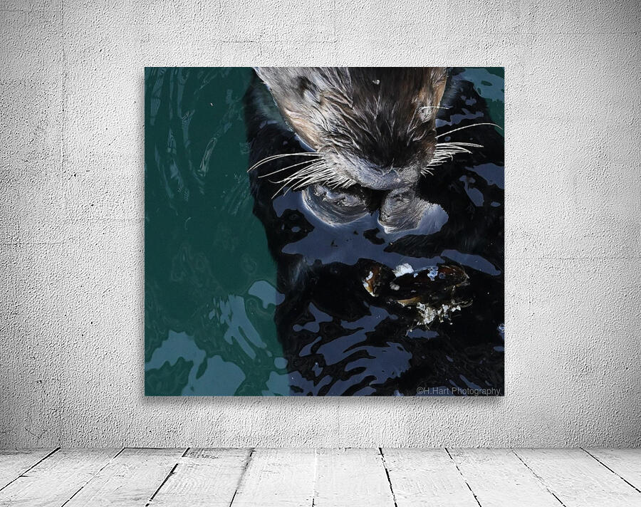 Otter Breakfast Wall Preview