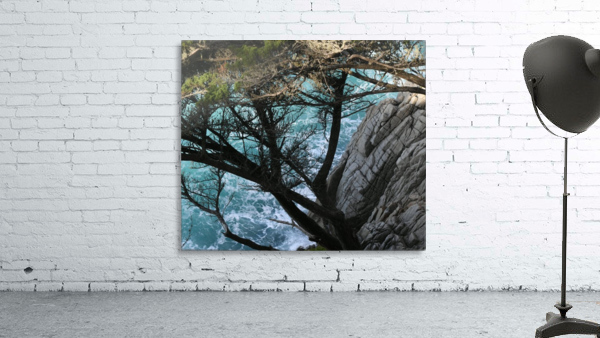 Hwy.1 Wall Preview