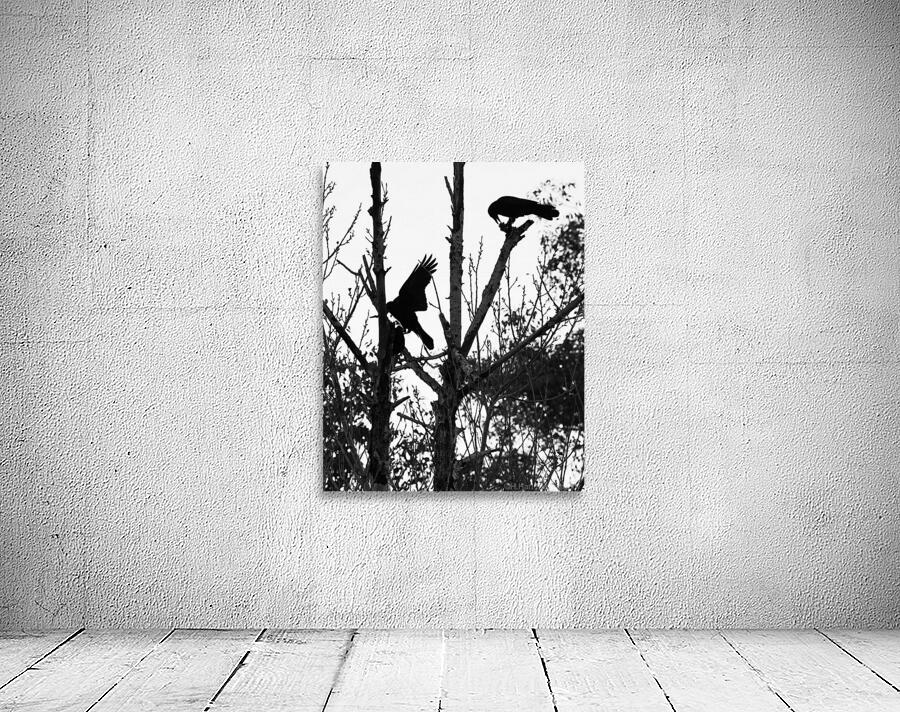 Black Birds Wall Preview