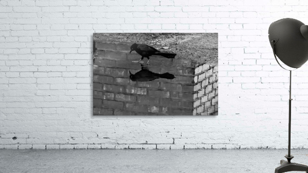 After the Rain Wall Preview