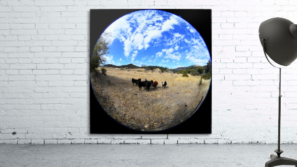 Cows Wall Preview
