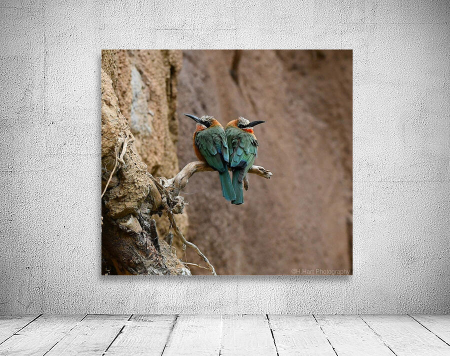 Bee Eaters Wall Preview