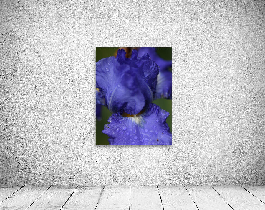 Purple Flower Wall Preview