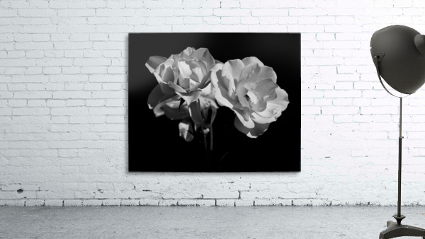 White Flowers Wall Preview