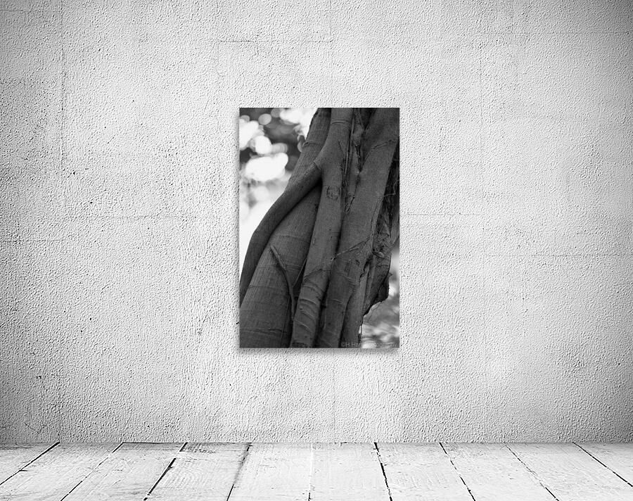 Tree Forms Wall Preview