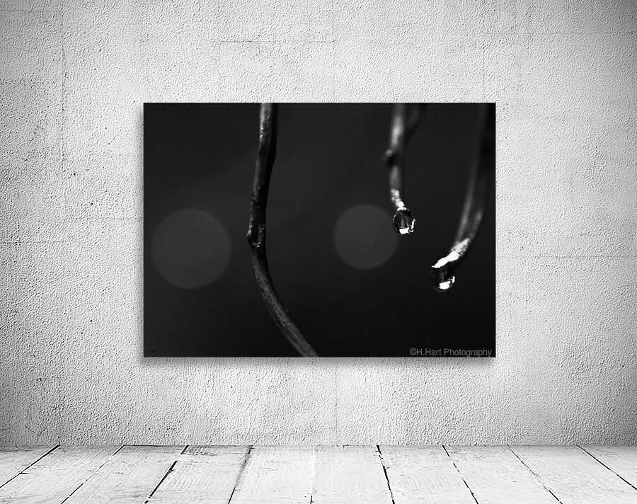 Drops Wall Preview