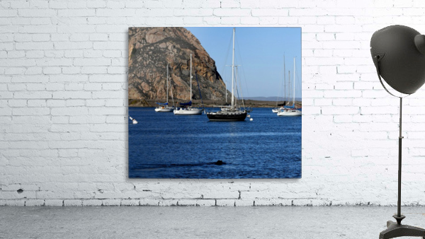 Morro Rock Wall Preview