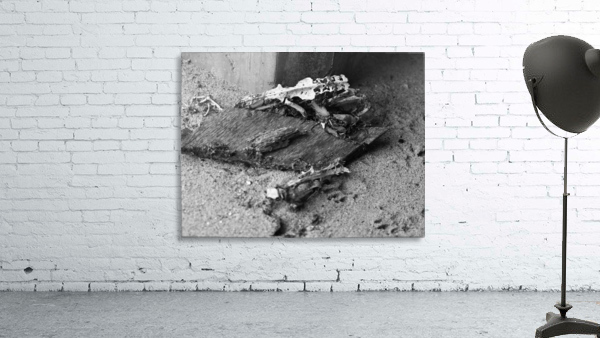Wharf Skeletons Wall Preview