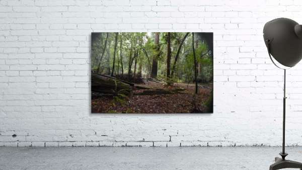 Peaceful Wall Preview