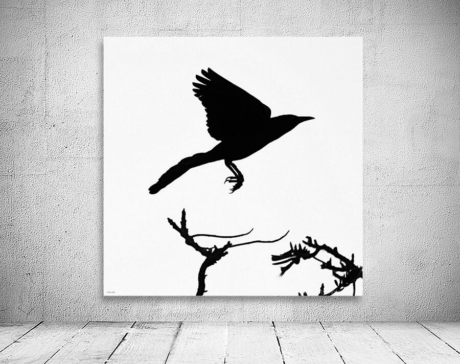 Blackbird Wall Preview