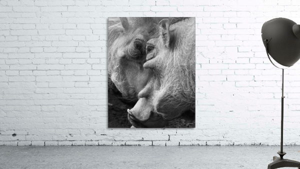 Warthogs Wall Preview