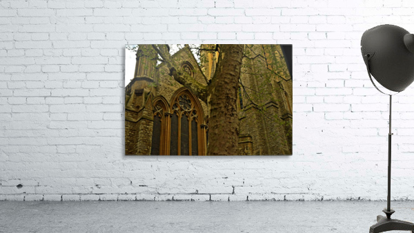 Mossy Cathedral Wall Preview